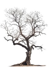 A solitary bare tree in a winter landscape. Suitable for seasonal or nature-themed projects