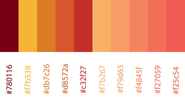 retro colors inspiration, vintage colors inspiration, color palette, with color code, summer color vibe
