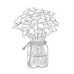 Calla lily in pots sketch outline doodle hand drawn Vector illustration