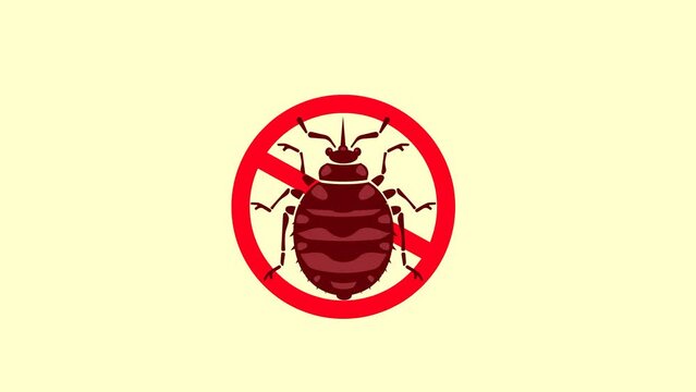 Animation, attention bugs.