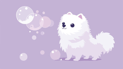 Cute little white spitz dog with a purple background