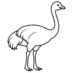 ostrich isolated mascot,ostrich silhouette,ostrich vector,icon,svg,characters,Holiday t shirt,black ostrich drawn trendy logo Vector illustration,ostrich line art on a white background
