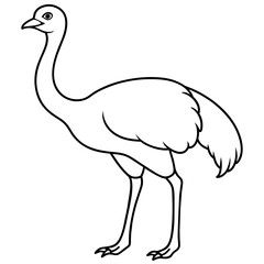 Obraz premium ostrich isolated mascot,ostrich silhouette,ostrich vector,icon,svg,characters,Holiday t shirt,black ostrich drawn trendy logo Vector illustration,ostrich line art on a white background