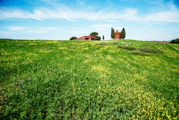 Fototapeta premium charming landscape with rape flowers and chapel of Madonna di Vitaleta in background on a sunny day in San Quirico d'Orcia (Val d'Orcia) in Tuscany, Italy. Excellent tourist places