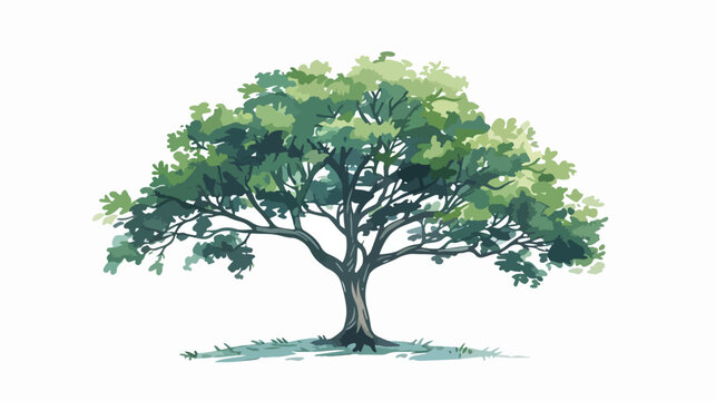 Deciduous tree hand drawn isolated vector illustration