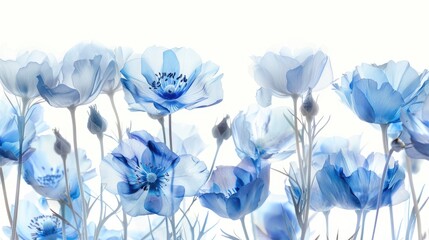 Iridescent blue flowers against a white backdrop - obrazy, fototapety, plakaty