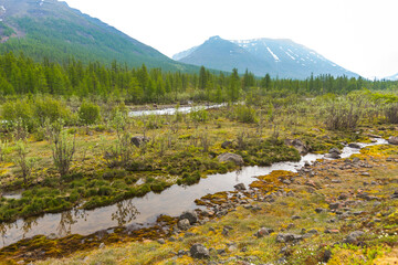 Cold Creek. Putorana Plateau, Taimyr, Russia - 786985929