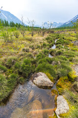 Cold Creek. Putorana Plateau, Taimyr, Russia - 786989705