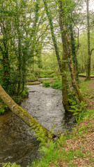 Gandaras river in Vilasantar, La Coruña