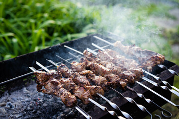 Pork pieces on coals. Pieces of grilled meat on skewers are cooked on hot coals.A barbecue party in...