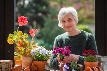 Senior woman planting flowers into pots