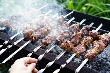 Pork pieces on coals. Pieces of grilled meat on skewers are cooked on hot coals.A barbecue party in...