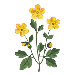 Minimalist Flat Vector Illustration of a Cinquefoil Flower on White Background - Simple and Cute Design with Transparent Cutout - obrazy, fototapety, plakaty