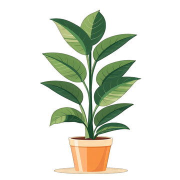 green potted plant on white background clip art preview