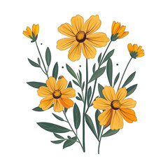 Minimalistic Flat Vector Illustration of Coreopsis Flower on White Background with Transparent Cut Out Design - Simple and Cute Style