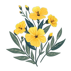 Minimalistic Flat Vector Illustration of Evening Primrose on White Background, Simple Cute Style with Transparent Cut Out Design