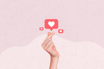 Photo collage artwork composite sketch image of young woman hand show reaction heart like banner...