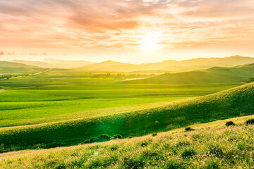 Obraz premium Scenic view at beautiful spring sunset in a green shiny field with green grass and golden sun rays, beautiful cloudy sky on a background