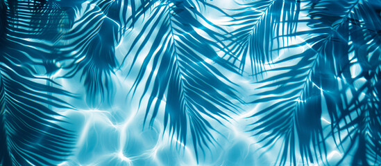 A blue leafy background with a palm tree in the foreground