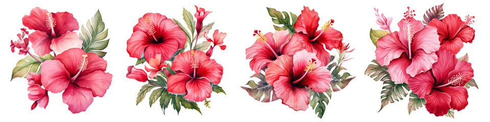 Watercolor hibiscus clipart isolated on transparent background