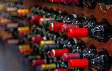 Several bottles of black red wine with red labels lined up and stacked horizontally on wooden shelves and bottle racks in a private collection luxury collectible wine store.
