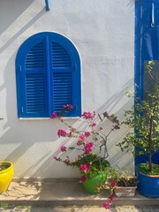 Blue window with flowers