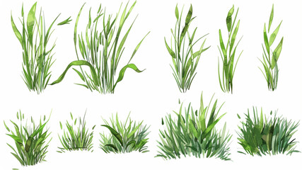 set of hand drawn grass illustration Vector style