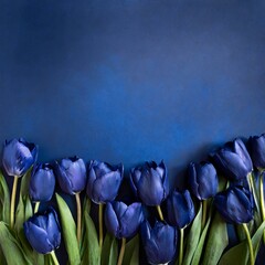 Niebieskie kwiaty tulipany tło - obrazy, fototapety, plakaty
