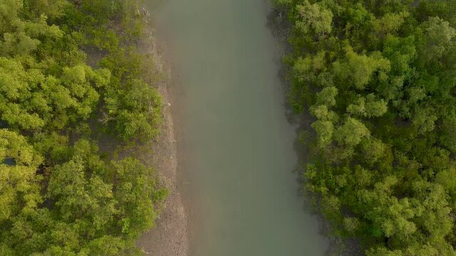 Traditional fishermen in a small wooden boat sailing in a creek in the Sundarbans delta in India