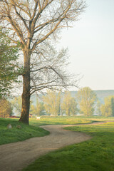 Naklejka premium Landscape with beautiful nature in the village in the Republic of Moldova. Country life. Moldova, a small country with a big heart in Eastern Europe.