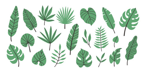 Set of hand drawn vector tropical leaves. Exotic leaves and branches in minimalistic flat style isolated on white.