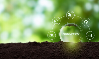 World biodiversity concept. The sustainable ecological environment and harmony living with nature....