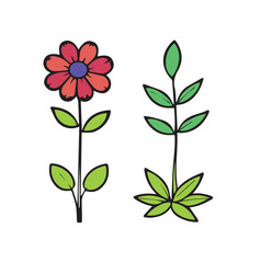 flower line color vector design illustration