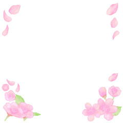 手書き風の桜の正方形のフレーム