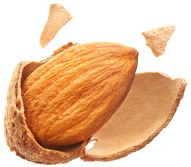 Almonds with shell isolated