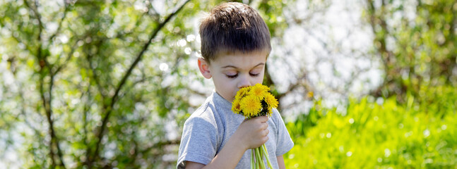 Funny baby sniffs a dandelion. Spring in nature. Allergy to flowering. pollinosis Allergy to pollen. - obrazy, fototapety, plakaty