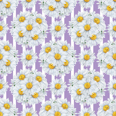 Seamless pattern of watercolour chamomile flowers bouquet round. Hand drawn illustration. Botanical hand painted floral elements on striped lilac background. For print decoration, fabric, wrapping.