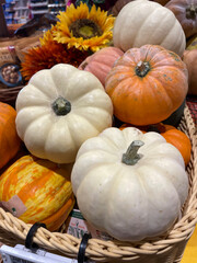 autumn pumpkins