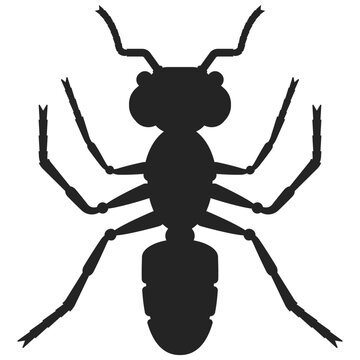 Ant black silhouette vector sign isolated on a white background.