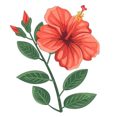 Tropical Hibiscus Flower in Flat Vector Illustration - Minimalistic and Cute Design on White Background