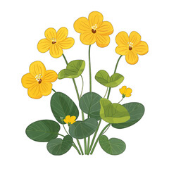 Minimalistic Flat Vector Illustration of a Marsh Marigold on White Background - Simple, Cute Design with Transparent Cut-Out Effect