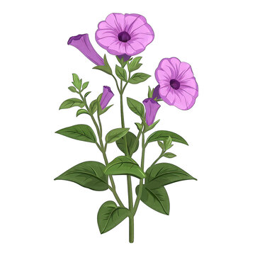 purple petunia flowers on green stems clip art preview