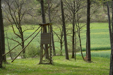 A hunting blind in spring in the forest in Switzerland. Rapeseed field in the background.