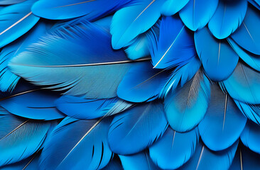 Blue macaw bird feathers, detailed, background for design, wallpaper