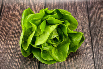 Butter lettuce salad green  leaves