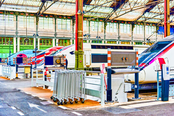 Gare de Lyon Train  station in Paris.