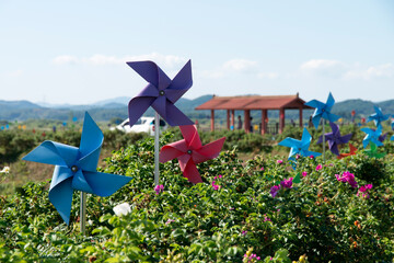View of the pinwheels at the riverside
