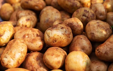 Raamstickers Pile of fresh potatoes in market © xy
