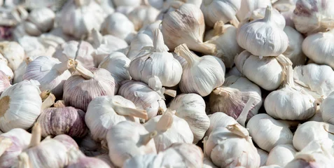 Rolgordijnen Pile of dry garlics in market © xy