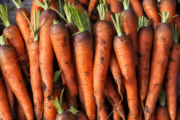Pile of fresh carrots in market